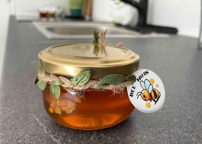 Gartenparadies Singen